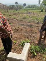 A picture of 2 and half plots of land is available in Egbe