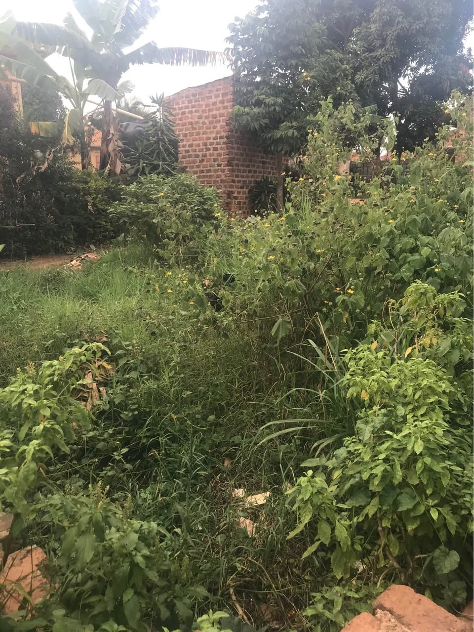 uganda plots