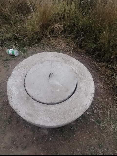 stands