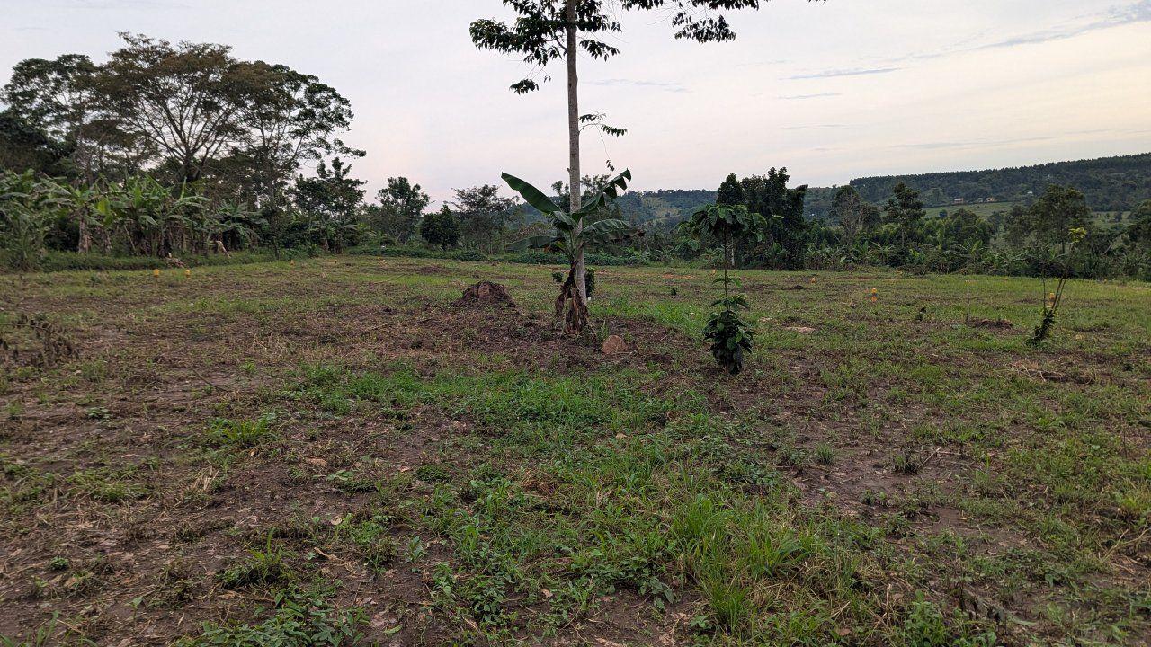 A picture of Plots