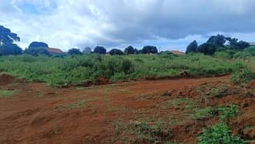 A picture of AFFORDABLE PLOTS FOR SALE IN BUKALANGO WAKISO.