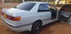 A picture of Premmio for sale call me on 256751331103 or what app
