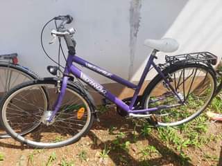 A picture of Karibu