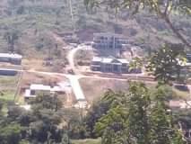 stands