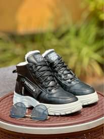 A picture of Evolution new model