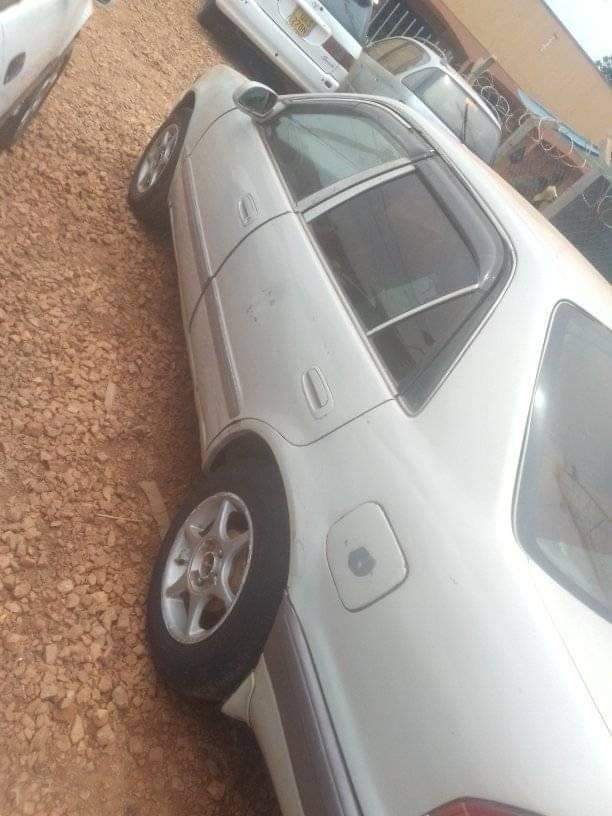 toyota kikumi