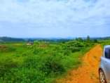 A picture of 50 100ft titled plots at our kakiri kikandwa Bukelekele Estate