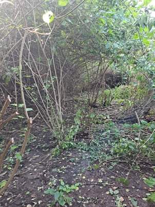 A picture of Shamba linauzwa lipo kiwangwa chalinze pwani