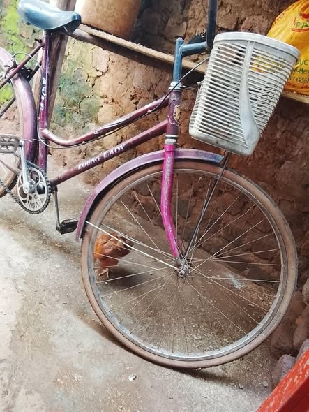 A picture of Bicycle