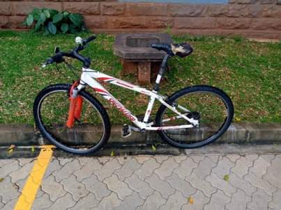 LettuceCycle B.