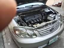 A picture of Toyota Corolla 2005 model neatly baked on the first body