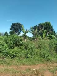 A picture of ANTI MR PROPERTY MANAGEMENT PLOTS FOR SALE LOCATED AT NAKAWUKA