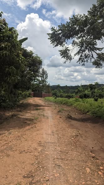 A picture of Plots of land for sale