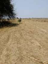 mwembeshi