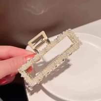 A picture of Metal Hair claw clips