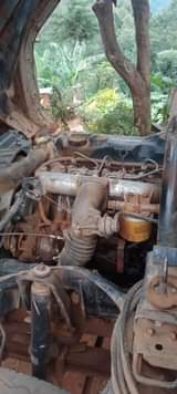 A picture of Bado kipoooo