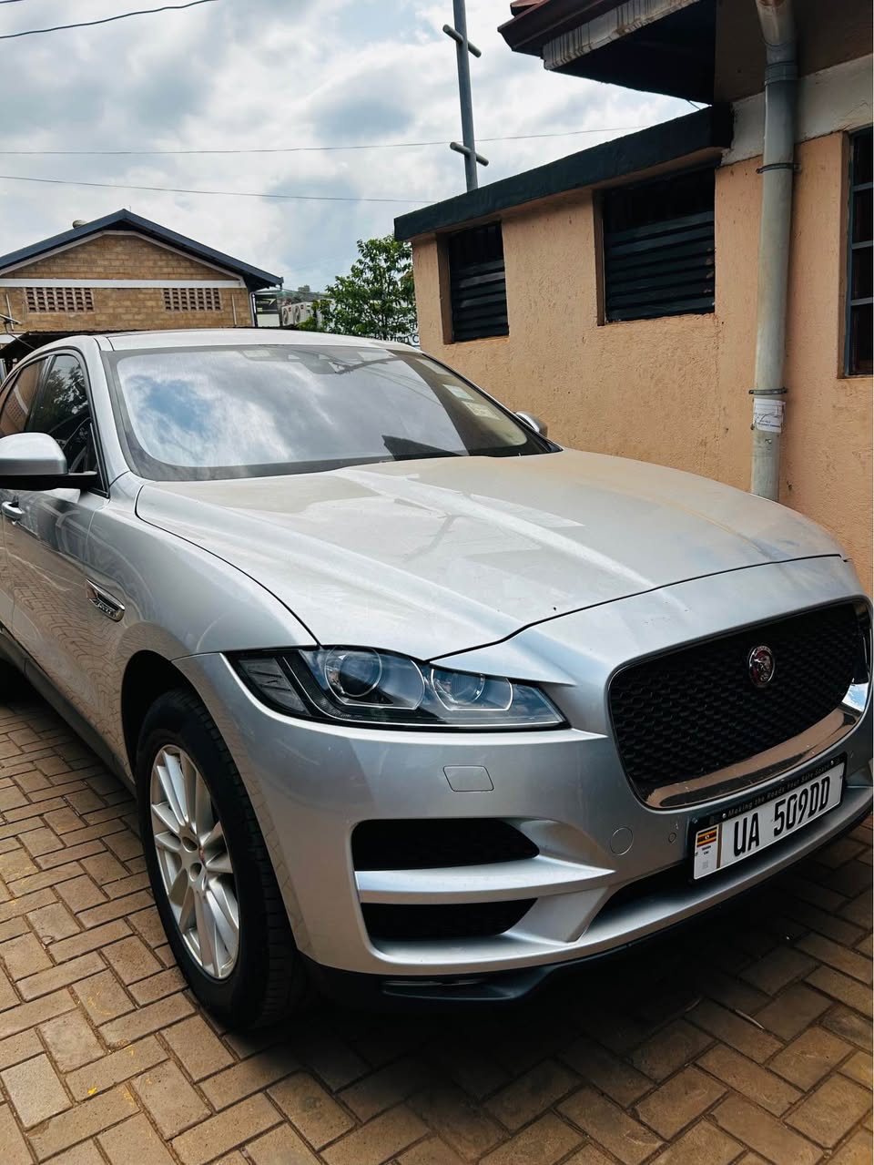 jaguar