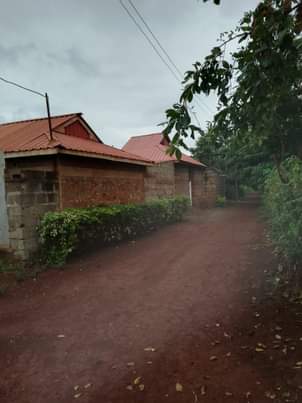 makutano plots