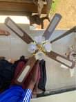 A picture of Ceiling Fan With Lights For Sale