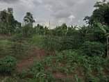A picture of Half an acre for sale at Matugga kitanda