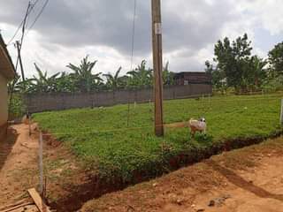 A picture of Cheap Plots for sale Cheap Plots up for sale Good