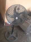 A picture of Feni ya soyi
