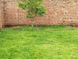 A picture of House on sale located at matugga town just 2 kilometers