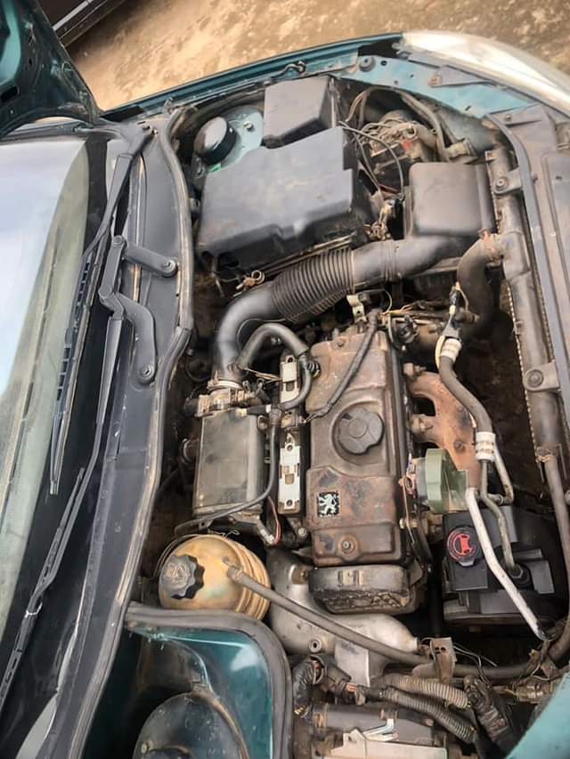 A picture of Naija used 206