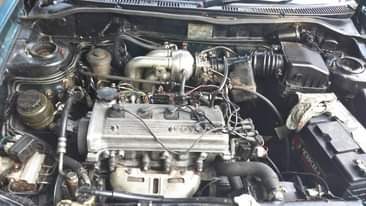 A picture of Starlet