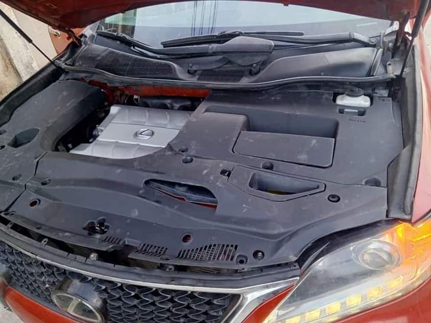 A picture of Luexs Rx350 2010 upgrade to 2015 very clear fish on