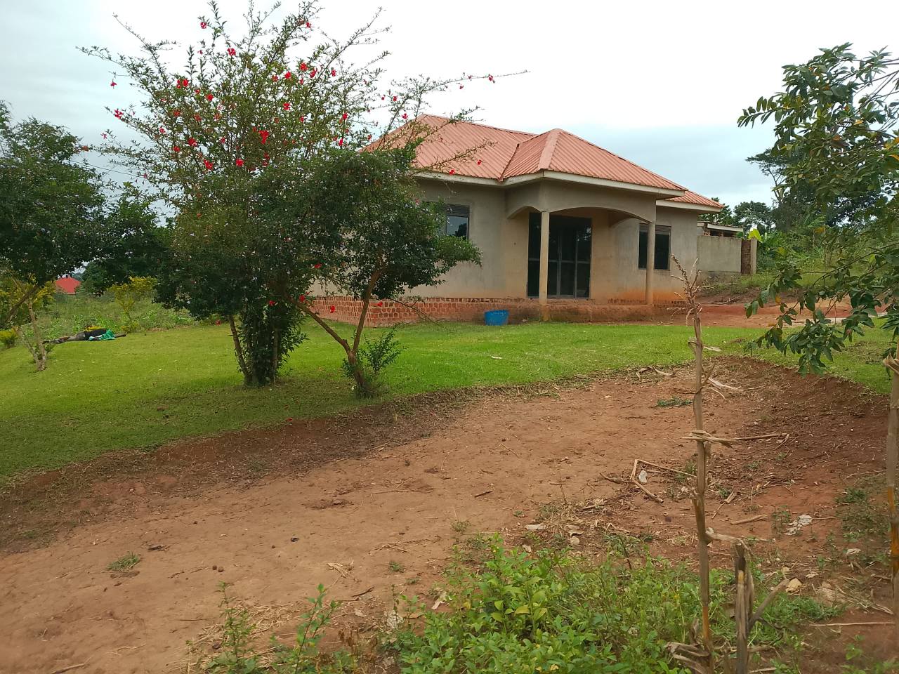 houses matugga