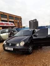 A picture of Volkswagen polo 5 on sale