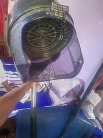 A picture of Saloon ya kike