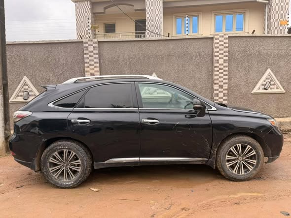 A picture of 2010 rx350 Lexus