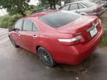 A picture of SUPER CLEAN SPIDER 2008 belgium grade BUY and MOVE PRICE