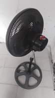 A picture of feni kimbunga njo chap no 0745388265