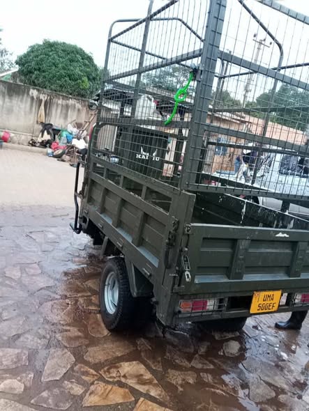 A picture of Kainu Tricycle