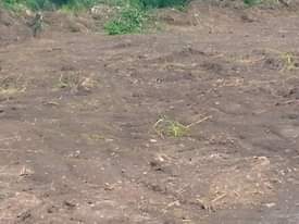 A picture of AFFORDABLE PLOTS FOR SALE