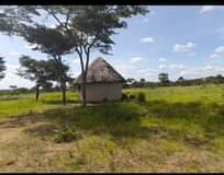 property marondera