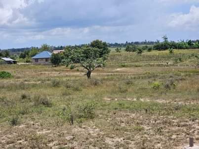 plots mariakani