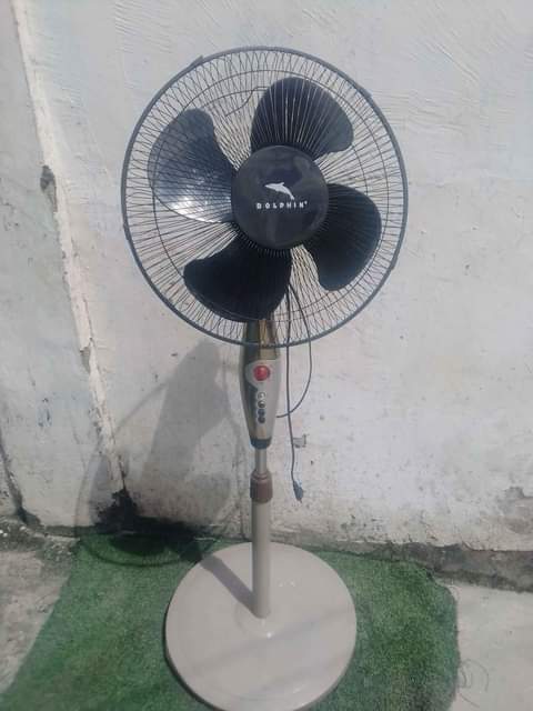 fans