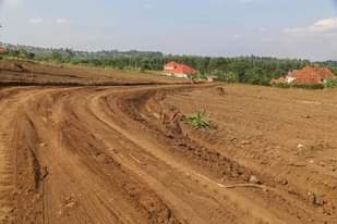A picture of Cheap plots along Hoima Road 8m 55m payable in instalments