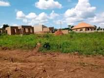 A picture of Gula plot osilike ku beeyi laisi