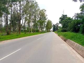 salama park