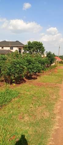 A picture of Plot on sale