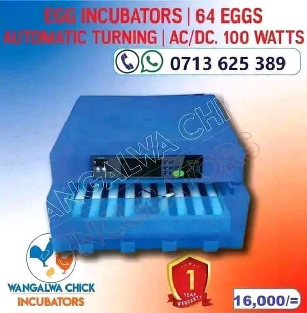 egg incubator