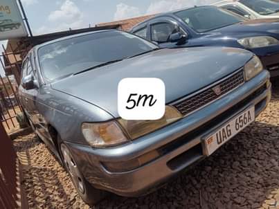 A picture of CALL. OR.... WATSAPP....ON 0 7 0 5 117 6 6