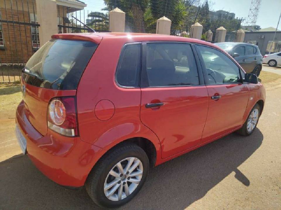 polo vivo