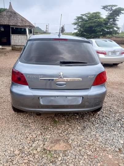 A picture of Peugoat 307