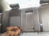 A picture of 1st body Toyota Camry 1999 080 6835 1237